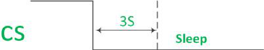 CS Pin Control Sleep Mode Timing Diagram