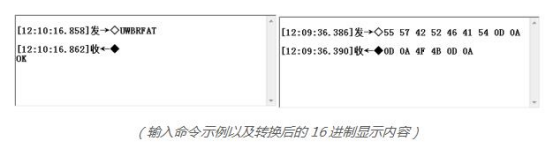 Example of command input and its hexadecimal representation Example of command input and its hexadecimal representation
