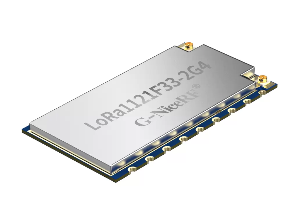 LoRa1121F33-2G4:2W High-Power Wireless Communication Module