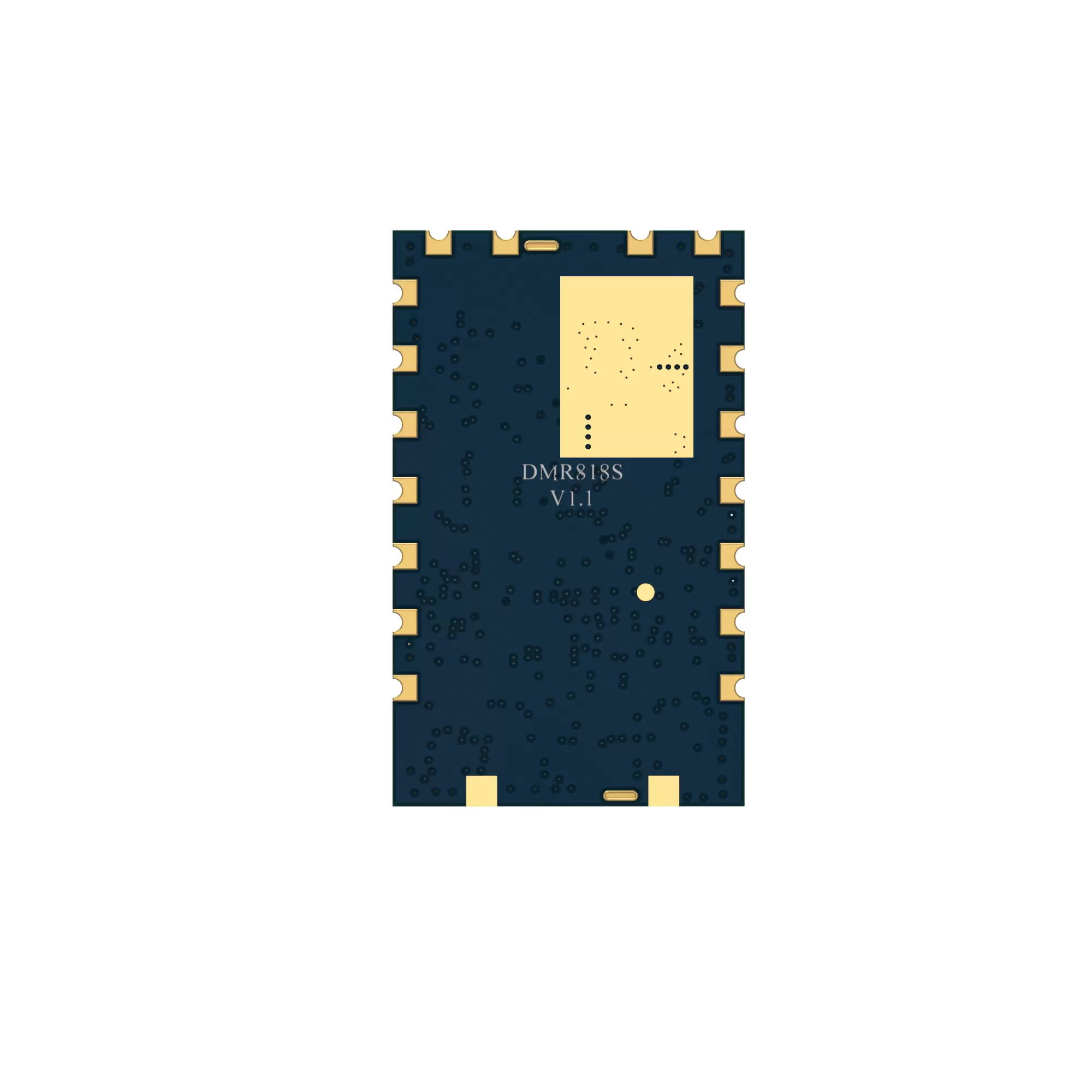 DMR818S-5W：DMR Walkie Talkie Module 0.5PPM TCXO 5W