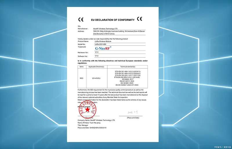 LoRa2021-868 DOC Simple Declaration